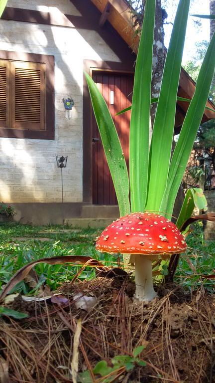 Ecos Da Terra Monte Verde (Minas Gerais)