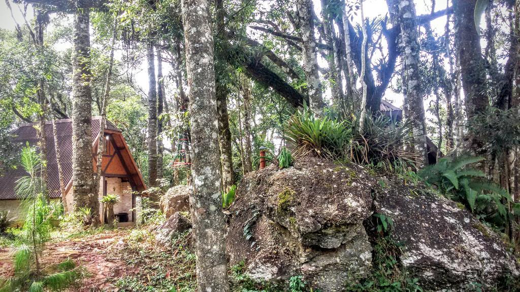 Ecos Da Terra * Monte Verde (Minas Gerais)