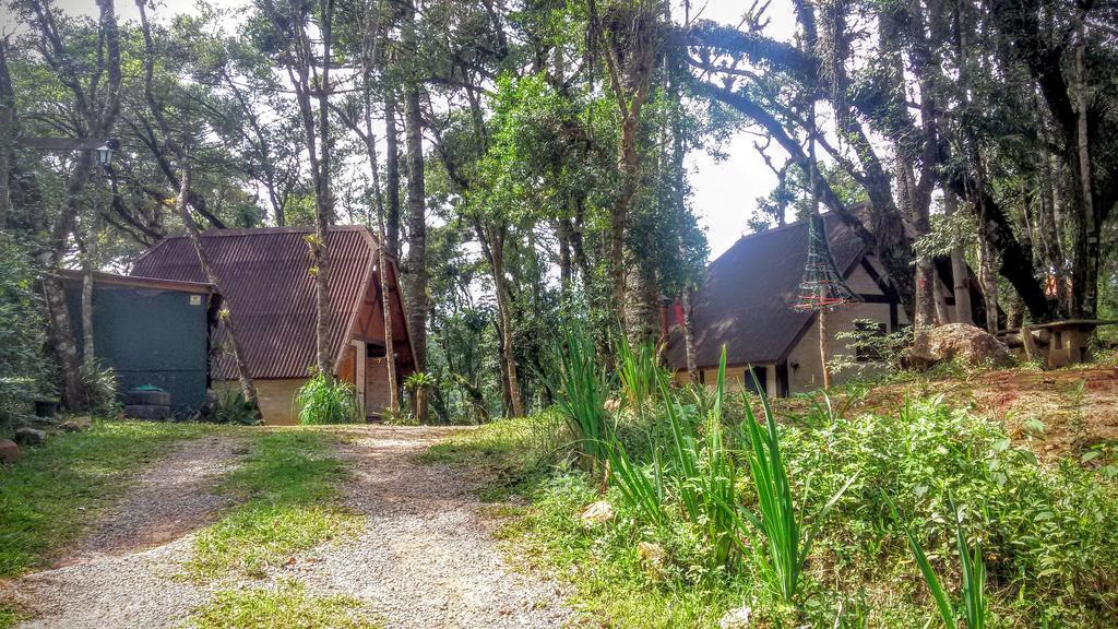 Ecos Da Terra * Monte Verde (Minas Gerais)