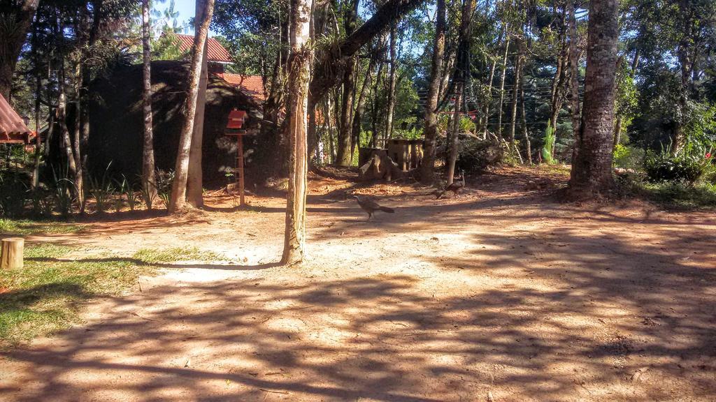 Ecos Da Terra Monte Verde (Minas Gerais)