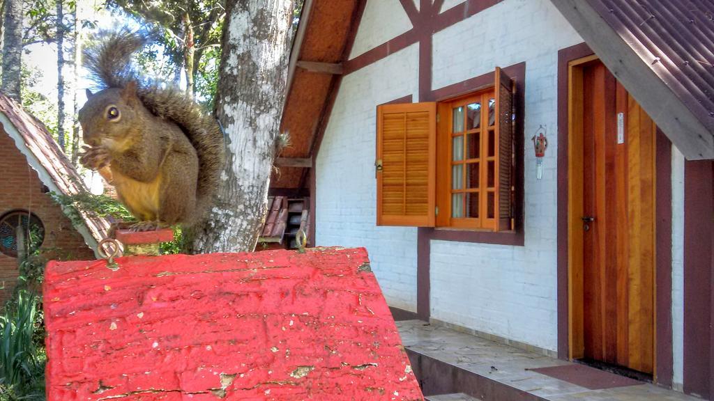 Casa de hóspedes Ecos Da Terra Monte Verde (Minas Gerais)