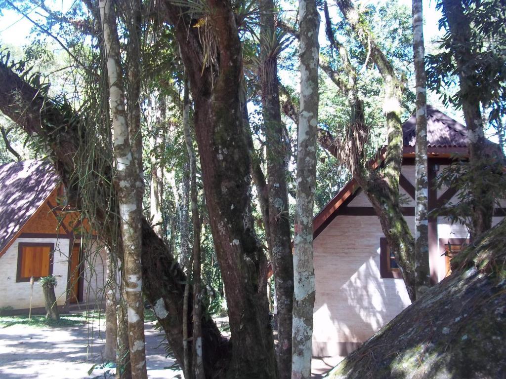 Ecos Da Terra Casa de hóspedes Monte Verde (Minas Gerais)