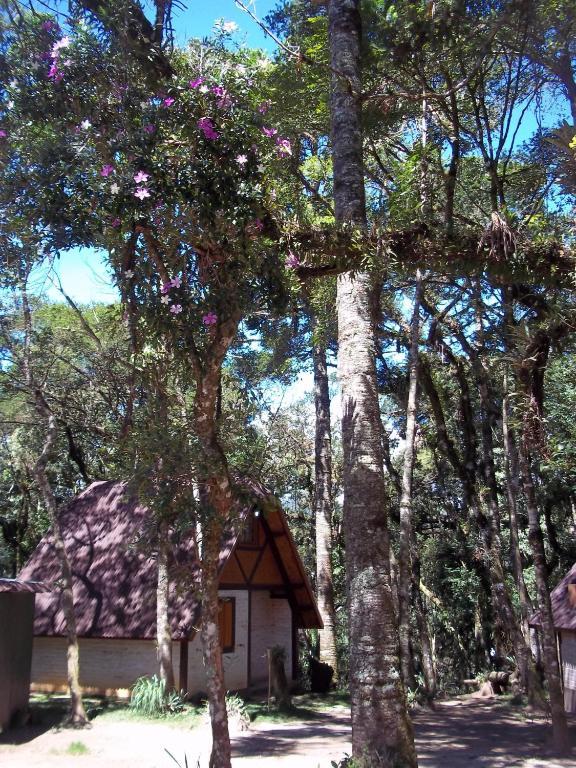 Ecos Da Terra * Monte Verde (Minas Gerais)